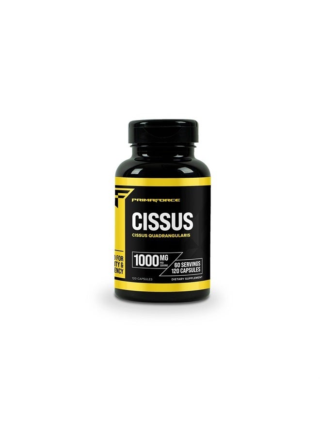 PrimaForce Cissus Quadrangularis Extract, - 120 Capsules, 1000mg per serving - Gluten Free, Non-GMO - Image 1