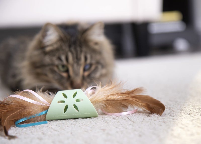 SmartyKat Flutter Roller Feather & Ribbon Chase Cat Toy - Green, One Size - Image 2