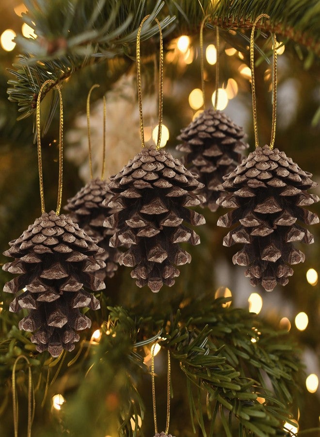 Helimoto 24 PCS Natural Pine Cones, 1.96 in Pinecone Ornaments, Rustic Pine Cones for Crafts, Winter Decorations for Home, Bulk Pines Cone with Gold String for Christmas Table Decor DIY Christmas Ornaments - Image 4