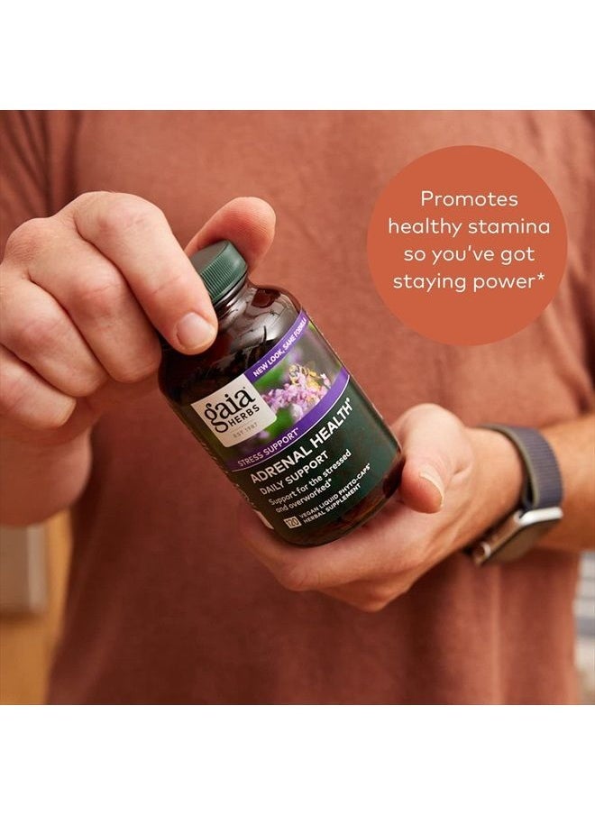 Gaia Herbs Adrenal Health Daily Support - with Ashwagandha, Holy Basil & Schisandra - Herbal Supplement to Help Maintain Healthy Energy and Stress Levels - 60 Liquid Phyto-Capsules (60 Count)  - Image 4