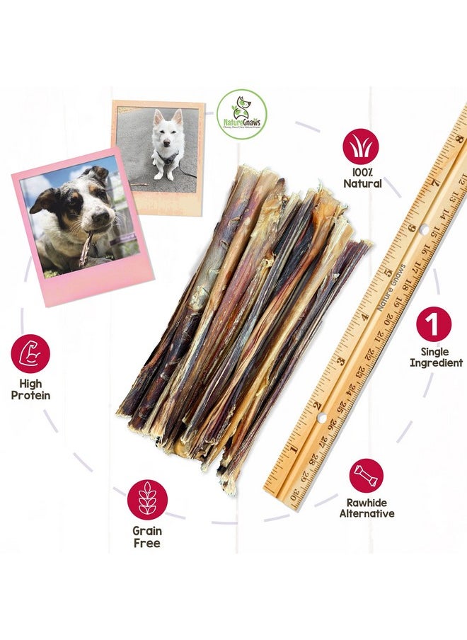 NATURE - Extra Thin Pork Bully Sticks For Small Dogs 56" (15 Count)  Long Lasting For Light Chewers And Puppies  Natural Bacon Dog Chew Treats - Image 1