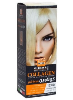 NITRO CANADA Hair Color Light Ice Blond 12.00 