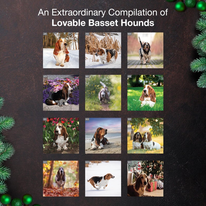 MICASA PRESS Basset Hounds 2026 Wall Calendar 12 Month | 12" x 24" Open | Thick & Sturdy Paper | Holiday Gift | Cute Puppy Dog Calendar 2026 - Image 3