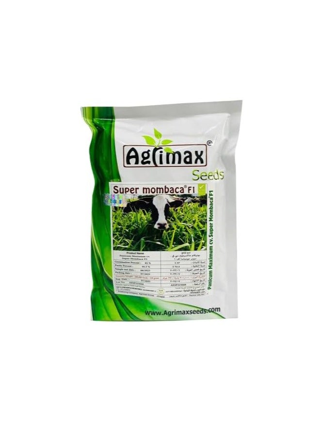 Agrimax Super Mombaca F1 Premium Quality Seeds Made in Spain/Panicum Maximum Super Mombaca Grass/Suitable for UAE Climate 330grm