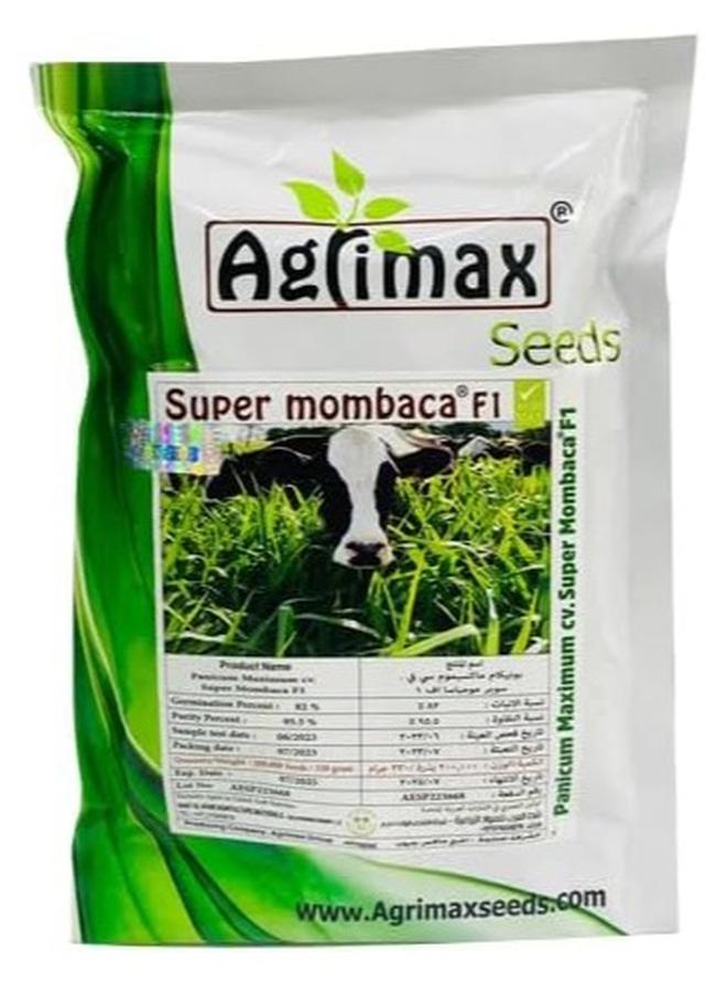 Agrimax Super Mombaca F1 Premium Quality Seeds Made in Spain/Panicum Maximum Super Mombaca Grass/Suitable for UAE Climate 330grm