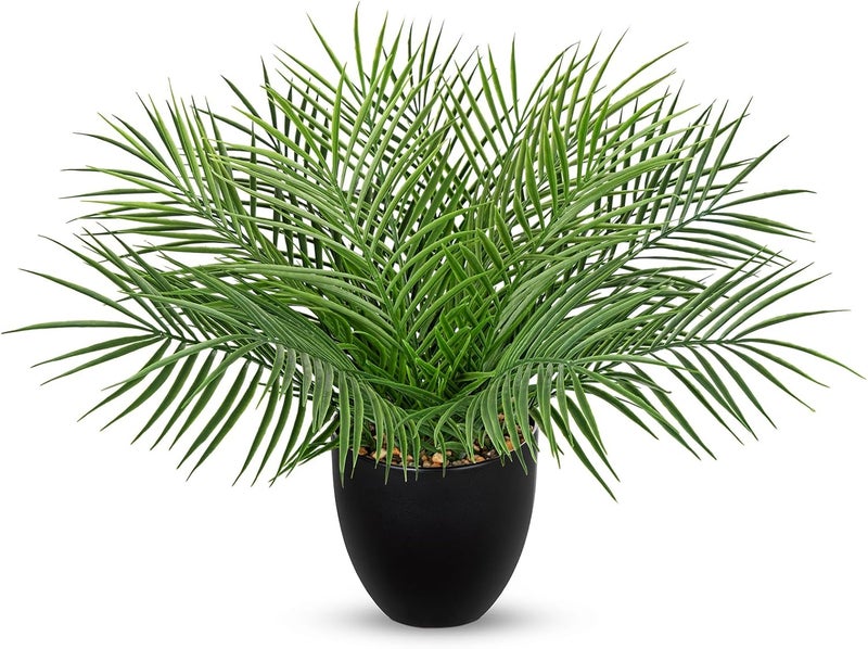Briful Artificial Palm Plant in Black Pot, 18” Faux Tropical Tabletop Plant with 14 Realistic Leaves, Small Potted Palm Tree for Farmhouse, Coffee Table, Entryway, Bathroom, Shelf & Living Room Decor - Image 1