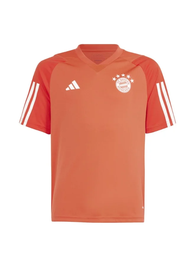 Adidas FCB TR JSY Y