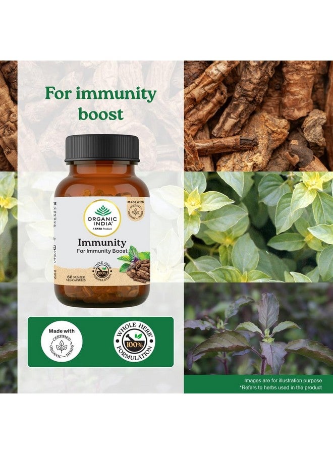 Organic India منتج تاتا - مناعة الهند العضوية - 60 كبسولة نباتية، يساعد في تعزيز استجابة المناعة ضد الأمراض، تخفيف من البرد والسعال والإنفلونزا وغيرها من التهابات الجهاز التنفسي، معتمد من GMP وNPOP عضوي. - Image 3