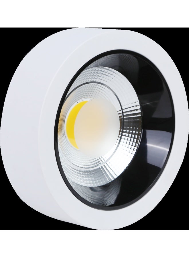 TOEFL Visible anti-glare lamp, white frame, lighting color, white, 30 watts, 30 cm, TOEFL - Image 1