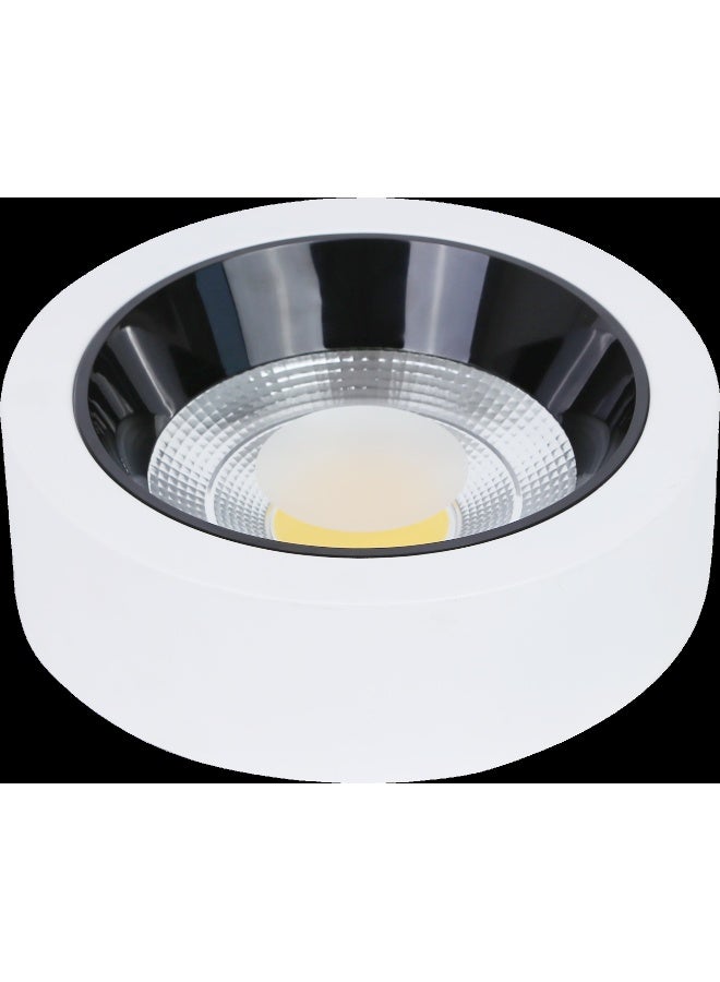 TOEFL Visible anti-glare lamp, white frame, lighting color, white, 30 watts, 30 cm, TOEFL - Image 2
