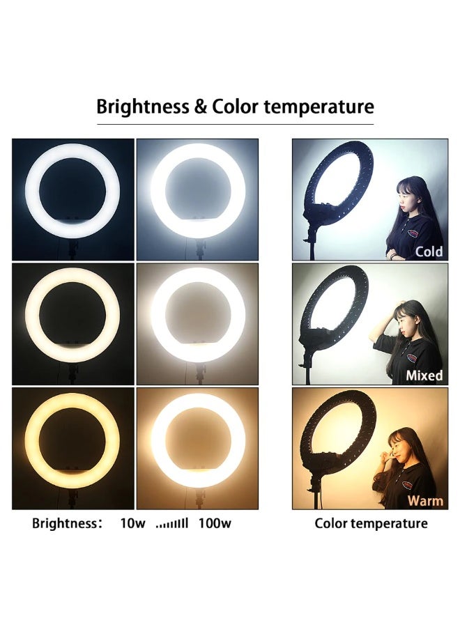 بلو فاير حلقة إضاءة LED احترافية 21 بوصة مع حامل ثلاثي القوائم و 3 حوامل للهاتف – 560 مصباح LED، 65 واط، درجة حرارة لون قابلة للتعديل 2700K-6500K، تحكم سلس في السطوع، جهاز تحكم عن بعد – مثالية لتيك توك، يوتيوب، إنستغرام ريلز، البث المباشر، المكياج، التصوير الفوتوغرافي والفلوغينغ! - Image 5