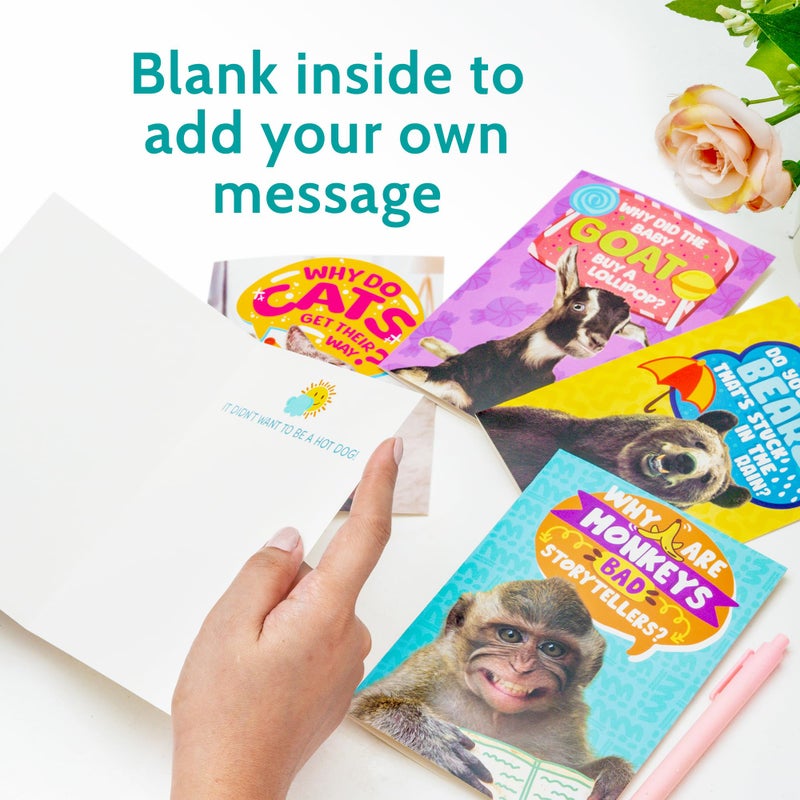T MARIE 24 Funny Animal Joke Notecards With No Repeats - Humorous Bulk Cards Set - 4.5â€ x 6.25â€ Thinking of You Cards for Friends, Kids, Students, Teachers, Summer Camp and More - Image 3