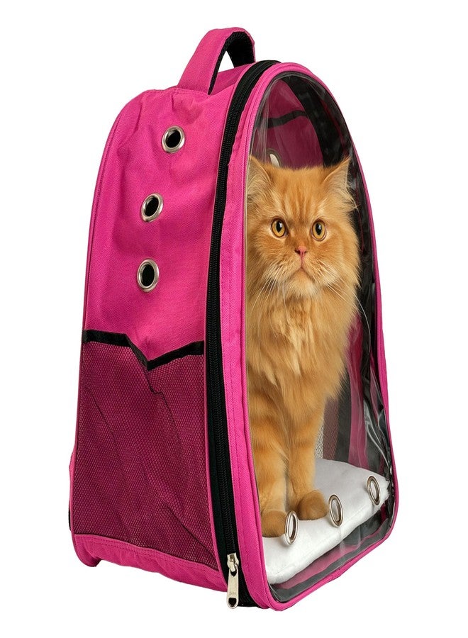 Tailworld Portable Pet Carrier Backpack for Cats & Small Dogs - Transparent Window, 9 Air Vents, Breathable Mesh, Built-in Safety Leash, Lightweight Travel Bag for Outdoor & Travel (Pink) - Image 1