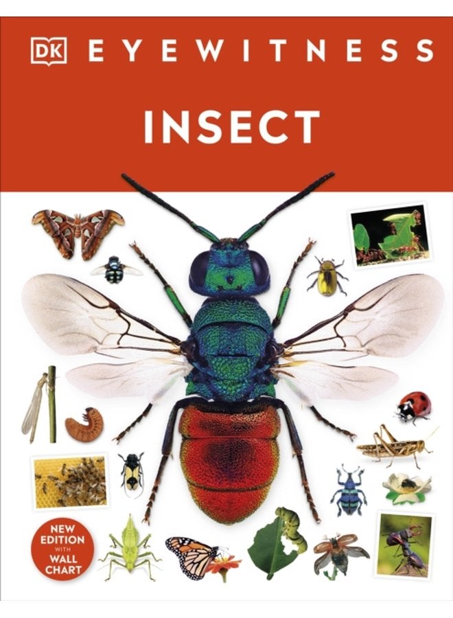 Insect - Hardback