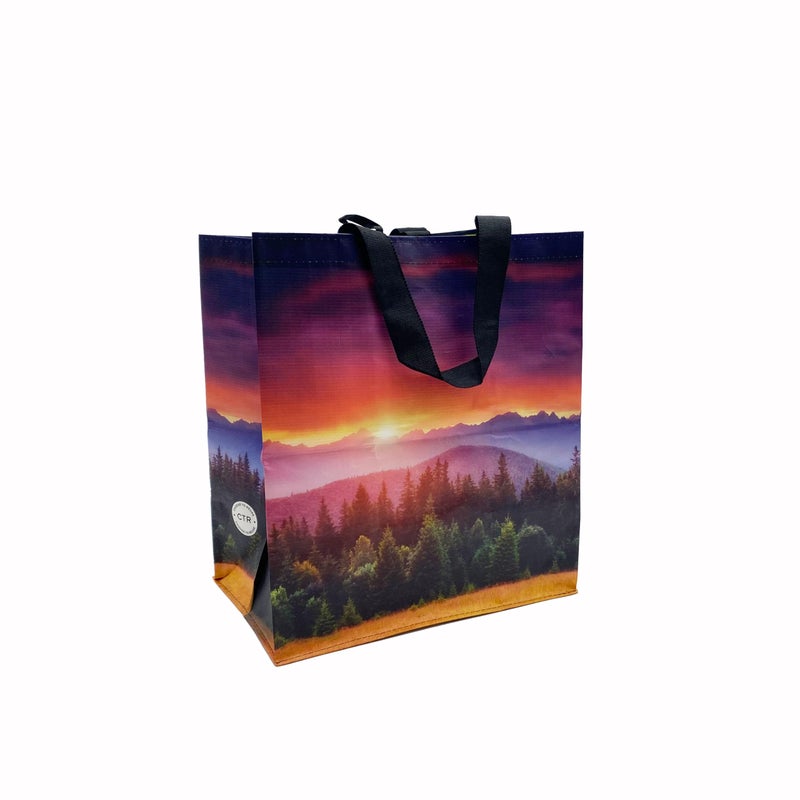 Earthwise Reusable Shopping BAgs Extremely Durable Multi Use Large Stylish Fun Foldable Water-Resistant Totes (5, Sunset) - Image 2