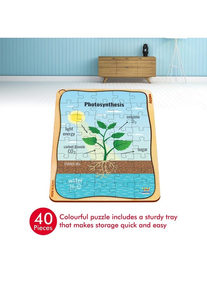 Webby Photosynthesis Wooden Jigsaw Puzzle, 40Pcs - Kids - Image 3