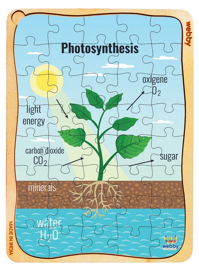 Webby Photosynthesis Wooden Jigsaw Puzzle, 40Pcs - Kids - Image 1