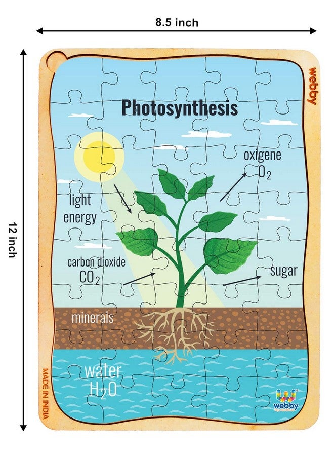 Webby Photosynthesis Wooden Jigsaw Puzzle, 40Pcs - Kids - Image 2