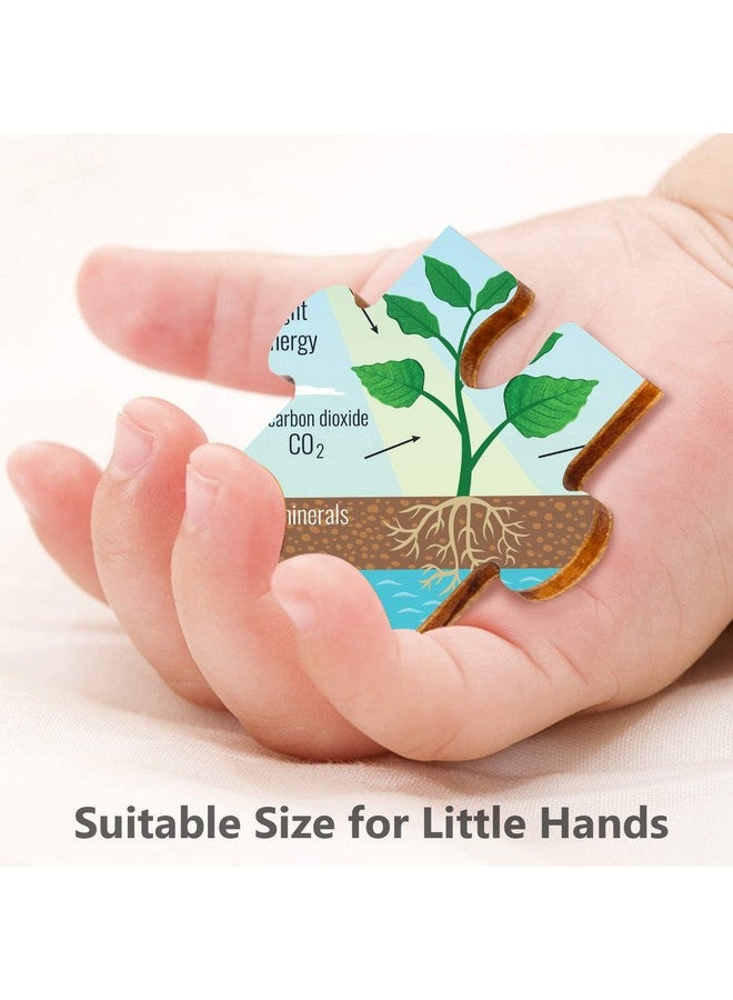 Webby Photosynthesis Wooden Jigsaw Puzzle, 40Pcs - Kids - Image 5
