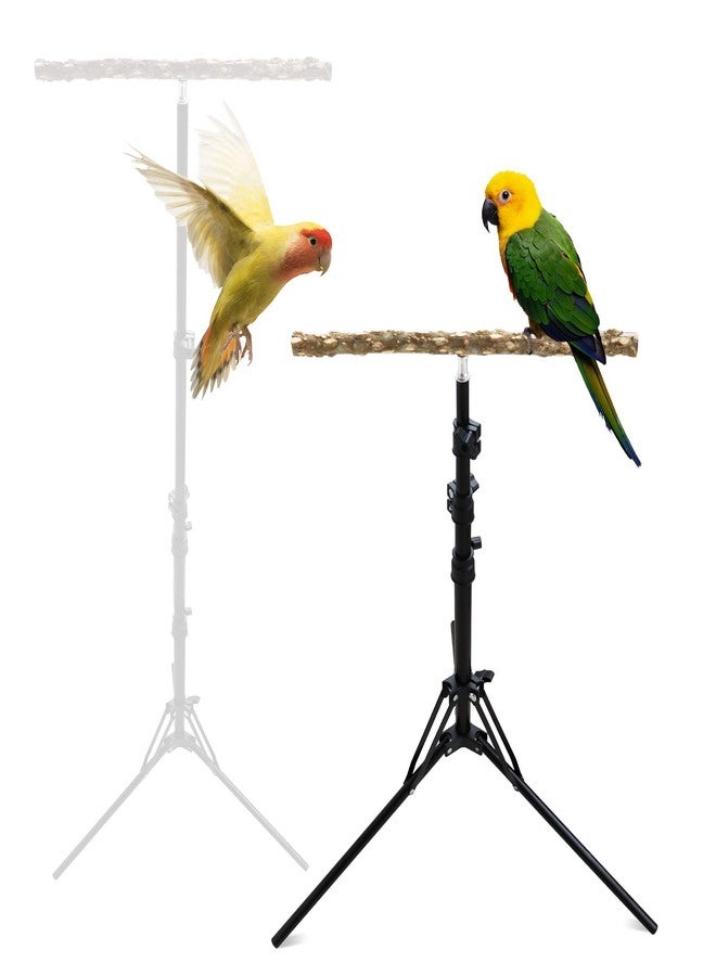 Oooct 16-63 Inch Adjustable Bird Perch Stand, Natural Pepper Wood Parrot Training Perch Toy, Indoor & Outdoor Accessories for Small to Medium Birds Parrots Parakeets Cockatiels Conures Budgies Finches - Image 1