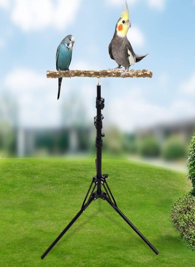 Oooct 16-63 Inch Adjustable Bird Perch Stand, Natural Pepper Wood Parrot Training Perch Toy, Indoor & Outdoor Accessories for Small to Medium Birds Parrots Parakeets Cockatiels Conures Budgies Finches - Image 4