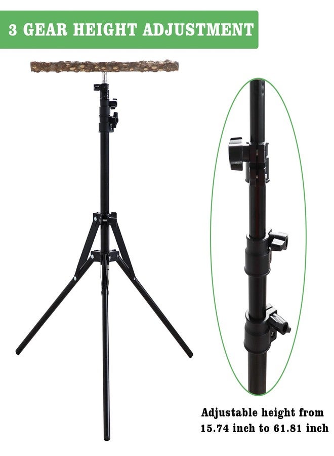 Oooct 16-63 Inch Adjustable Bird Perch Stand, Natural Pepper Wood Parrot Training Perch Toy, Indoor & Outdoor Accessories for Small to Medium Birds Parrots Parakeets Cockatiels Conures Budgies Finches - Image 3