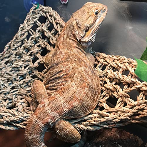 kathson Bearded Dragon HammockLizard Lounger Reptile Tank Hanging Plants Climbing Jungle Vines Flexible Leaves Decorations for Lizards Chameleon Gecko Snakes5 PCS - Image 3