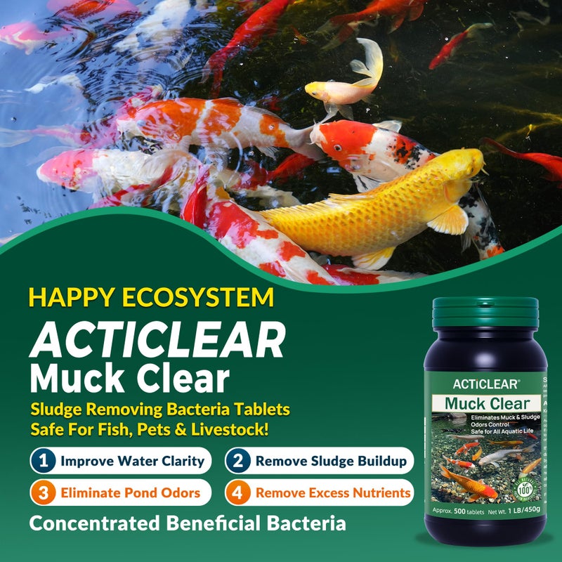 ActiClear Muck Clear â€“ Natural Pond Sludge Treatment, 500 Tablets for Ponds, Fountains & Bird Baths, Beneficial Bacteria & Enzymes, Chemical-Free & Safe for Fish, Pets & Wildlife - Image 2