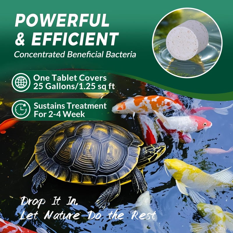 ActiClear Muck Clear â€“ Natural Pond Sludge Treatment, 500 Tablets for Ponds, Fountains & Bird Baths, Beneficial Bacteria & Enzymes, Chemical-Free & Safe for Fish, Pets & Wildlife - Image 3