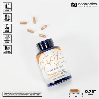 glutathione nootropics depot Health & Nutrition KSA | 30-75% OFF GHK-cu:50mg GLUTAMAX Reduced Glutathione 500mg research chemicals