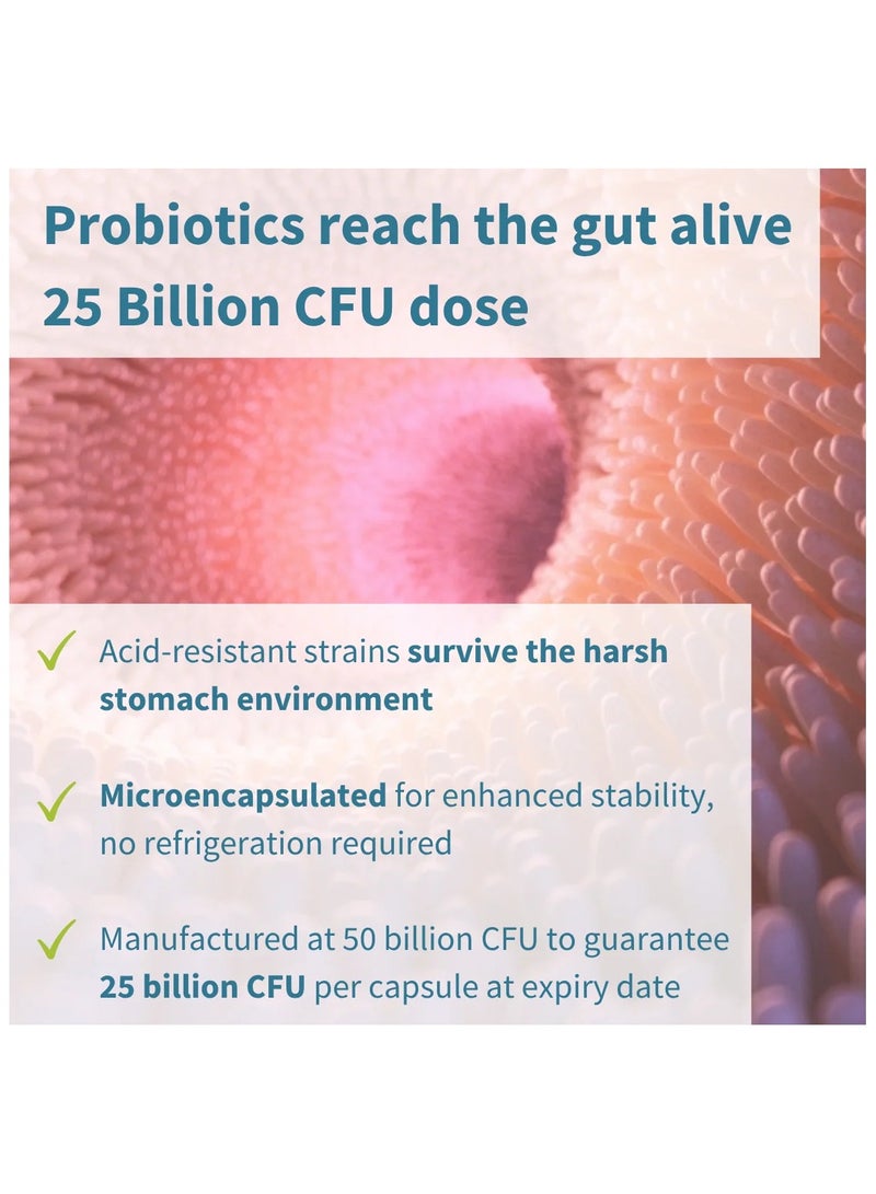 Igennus Live Cultures+ Lab4 Probiotics & Non-bloating Prebiotic - Image 4