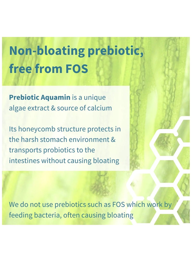 Igennus Live Cultures+ Lab4 Probiotics & Non-bloating Prebiotic - Image 5