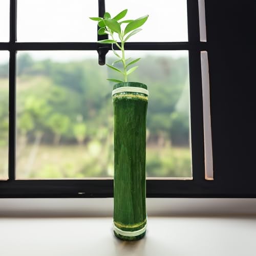 Gachwala Bamboo Vase, Hand Crafted for Home Decor & Gardening, Plantation and Decoration, Shiny Wooden Finish Home Aesthetic (Approx 20 Inches Height) - B-16 - Image 5