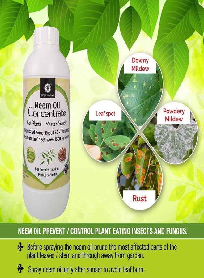 OrganicDews زيت النيم من أورجانيك ديوز بتركيز 1500 جزء في المليون (قابل للذوبان في الماء) مركز للنباتات 500 مل مع كوب قياس 25 مل - لمكافحة حشرات الحدائق - Image 2