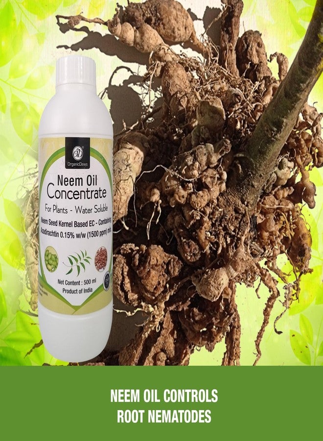 OrganicDews زيت النيم من أورجانيك ديوز بتركيز 1500 جزء في المليون (قابل للذوبان في الماء) مركز للنباتات 500 مل مع كوب قياس 25 مل - لمكافحة حشرات الحدائق - Image 4