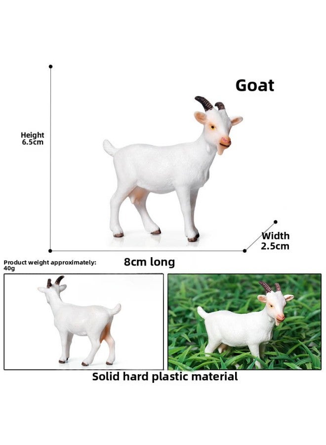 Children's Science And Education Simulation Sheep A Sheep Wild Animal Model Toy Sheep Goat Static Solid Decorative Ornaments-Color:Ox-542 White Goat [0.037kg]]  - Image 1