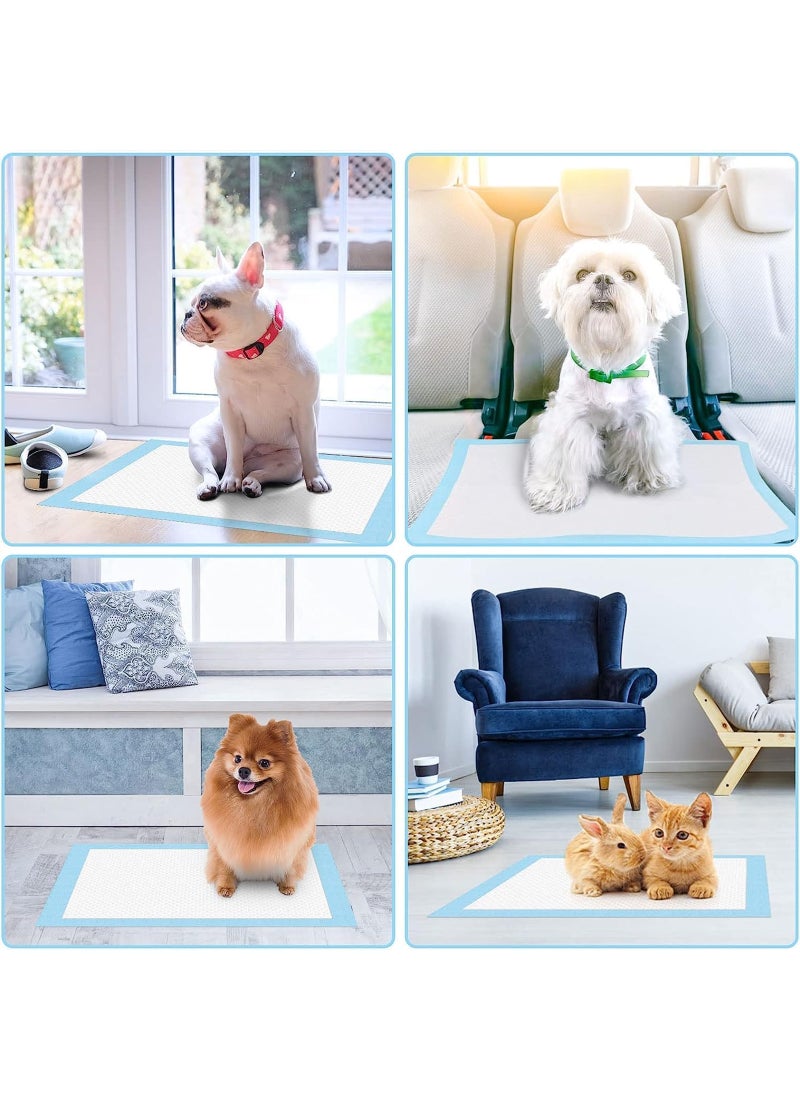Coodipet Training Pads For Dog  Pack of 100 - Image 4