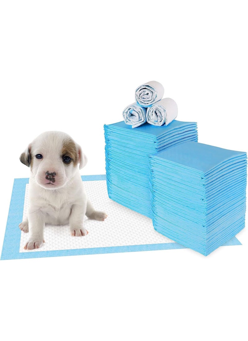 Coodipet Training Pads For Dog  Pack of 100 - Image 1
