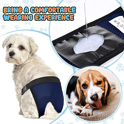Qpets® Pet Use Breathable Reusable Female Dogs Diapers with 3 Absorbption Cotton Pad Comfort Reusable Doggy Diapers for Female Dog, Puppy(M, Recommended Waist 13.7''-16.9'') - Image 3