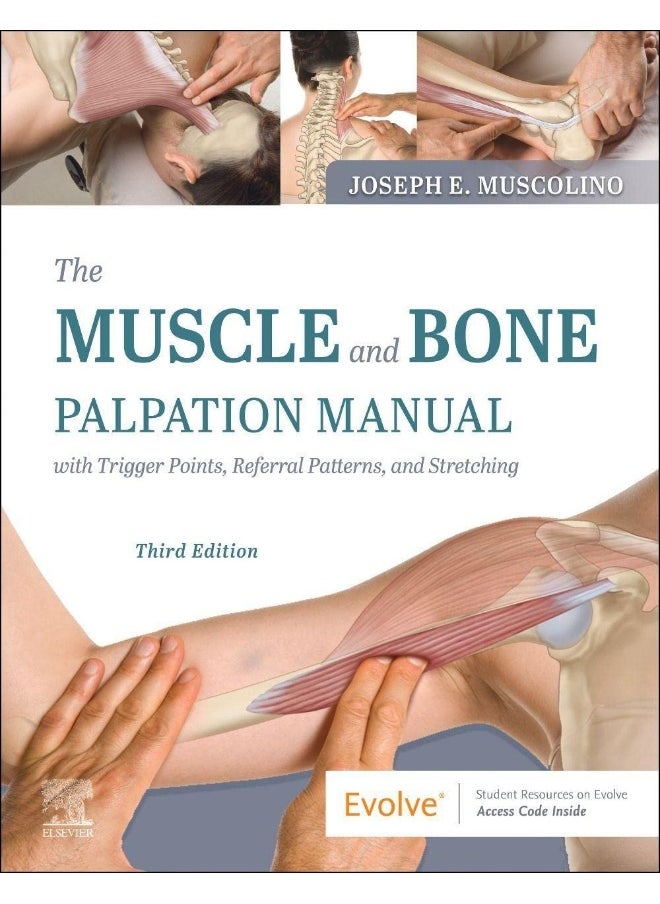 null - The Muscle and Bone Palpation Manual with Trigger Points, Referral Patterns and Stretching - Image 1