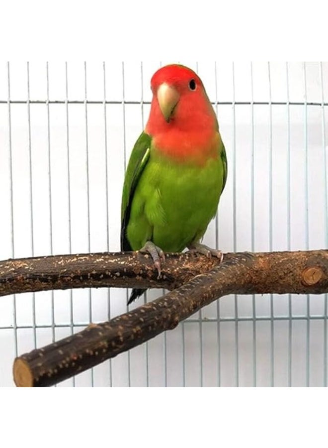 4 Pack Natural Wood Bird Perch Parrot Stand Branches Fork Toys,Pet Bird Cage Wooden Hanging Perch Platform Hammock Swing Toy for Small Parakeets,Budgies,Cockatiels,Conures,Macaws,Finches - Image 3