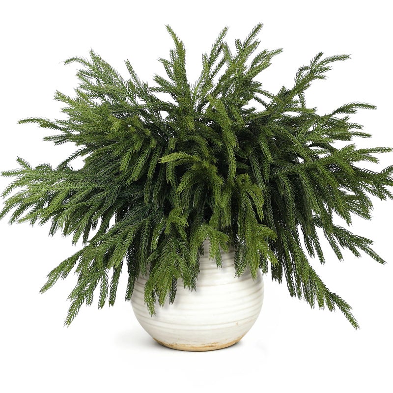 VIERENA 20 Pcs Christmas Norfolk Pine Branches 18 Soft Textured Artificial Norfolk Pine Branch Faux Plants Stem Fake Greenery Pine Picks for Vase DIY Crafts Garland Wreath Home Indoor Outdoor Decoration - Image 2
