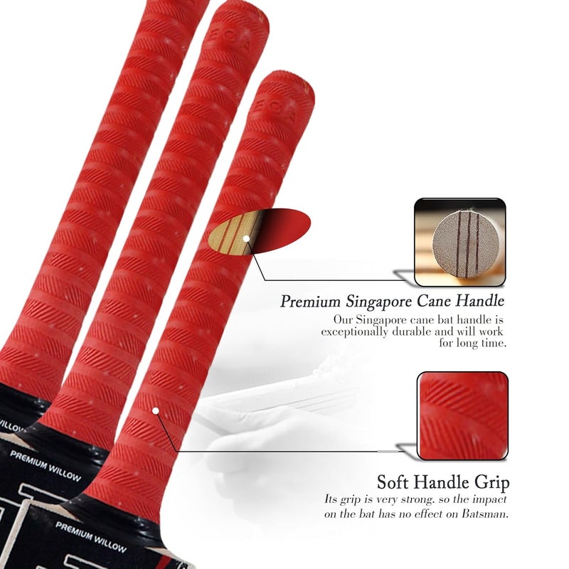 Troft Massive Spot Cricket Bat - Kashmir Willow, Free Bat Cover | Size : 3 (28.50 in) - Image 2