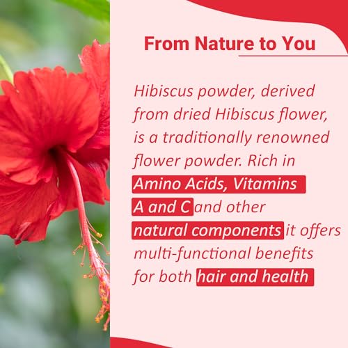 minature 100% Pure Hibiscus (Gudhal) Powder 227g (8oz) | 100% Natural (Sabdariffa) Powder for Hair Care, Face Pack, Tea & DIY Herbal Remedies - Image 2
