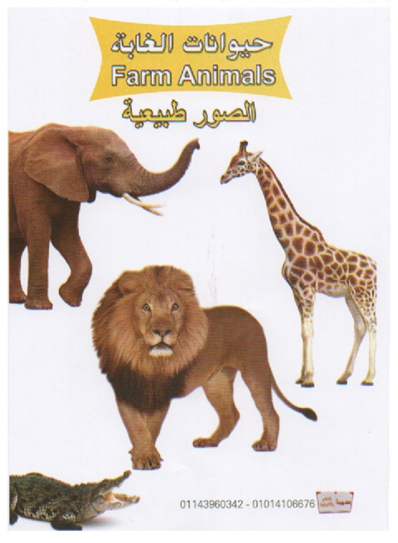 7 Different Flashcard Sets 126 Cards - Image 1