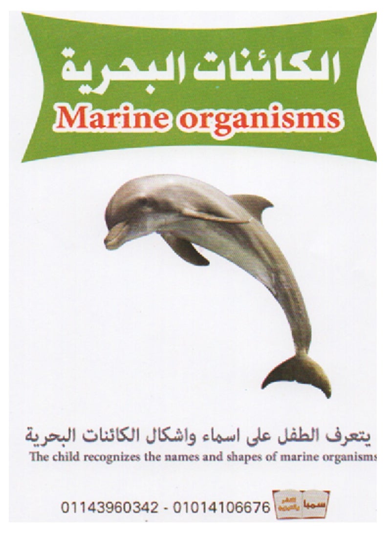 7 Different Flashcard Sets 126 Cards - Image 4