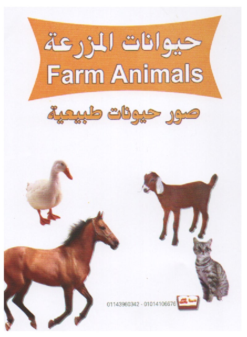 7 Different Flashcard Sets 126 Cards - Image 3