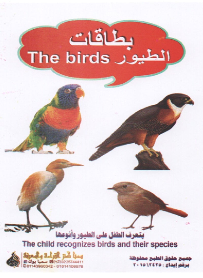 7 Different Flashcard Sets 126 Cards - Image 5