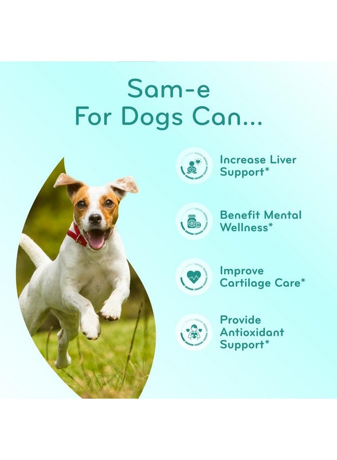 ClearFormulas Liver Support for Dogs with SAM-e - Chewable SAM-e for Dogs Bone Mood Joint Brain and Liver Support Supplement with Easy Absorption 225mg S-Adenosyl-L-Methionine - Made in a cGMP US Lab (120 Tablets) - Image 5