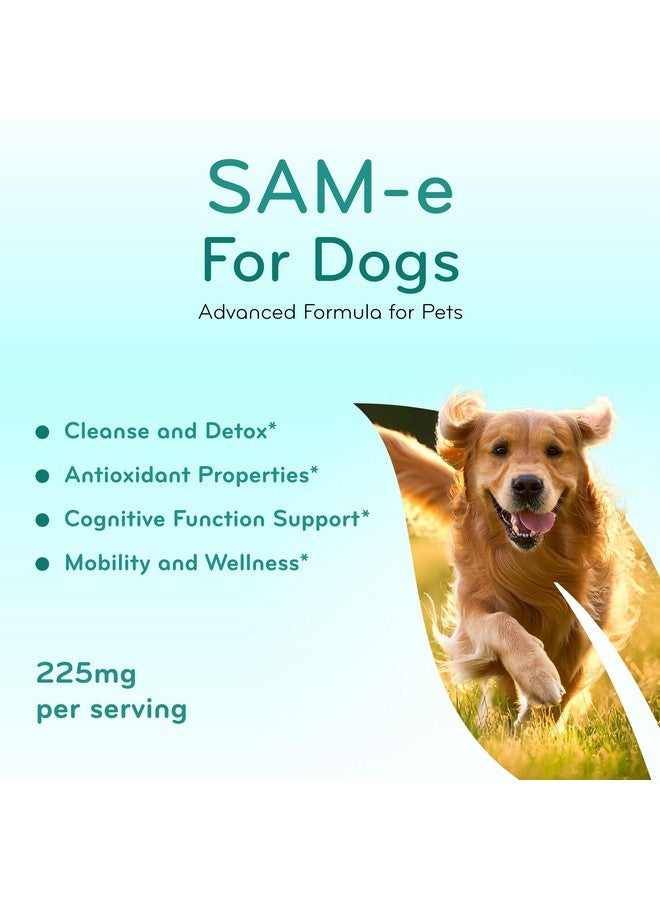 ClearFormulas Liver Support for Dogs with SAM-e - Chewable SAM-e for Dogs Bone Mood Joint Brain and Liver Support Supplement with Easy Absorption 225mg S-Adenosyl-L-Methionine - Made in a cGMP US Lab (120 Tablets) - Image 3